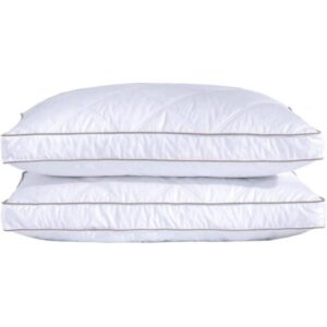 Goose Feathers and Down Pillow